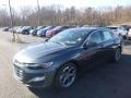 2019 Shadow Gray Metallic Chevrolet Malibu RS  photo #1