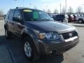 2006 Dark Shadow Grey Metallic Ford Escape Hybrid 4WD  photo #7