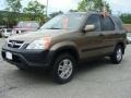 2004 Mojave Mist Metallic Honda CR-V EX 4WD  photo #1