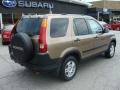 2004 Mojave Mist Metallic Honda CR-V EX 4WD  photo #5