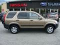 2004 Mojave Mist Metallic Honda CR-V EX 4WD  photo #6
