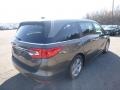 2019 Pacific Pewter Metallic Honda Odyssey EX-L  photo #4