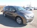 2019 Pacific Pewter Metallic Honda Odyssey EX-L  photo #5