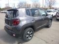 2019 Granite Crystal Metallic Jeep Renegade Trailhawk 4x4  photo #5