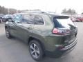 2019 Olive Green Pearl Jeep Cherokee Limited 4x4  photo #3