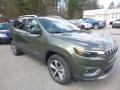 2019 Olive Green Pearl Jeep Cherokee Limited 4x4  photo #7