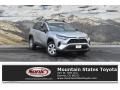 2019 Silver Sky Metallic Toyota RAV4 LE AWD  photo #1