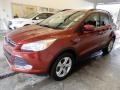 2016 Sunset Metallic Ford Escape SE 4WD  photo #9