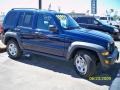 Midnight Blue Pearl - Liberty Sport Photo No. 3
