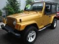 2003 Inca Gold Metallic Jeep Wrangler X 4x4  photo #3