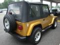 2003 Inca Gold Metallic Jeep Wrangler X 4x4  photo #6