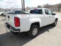 2019 Summit White Chevrolet Colorado WT Extended Cab 4x4  photo #5