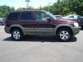 Chestnut Metallic - Tribute LX V6 Photo No. 7