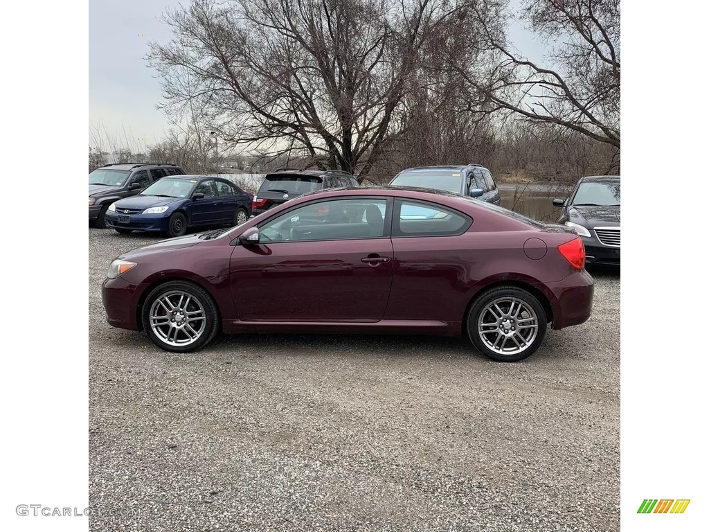 2006 tC  - Black Cherry Pearl / Dark Charcoal photo #2