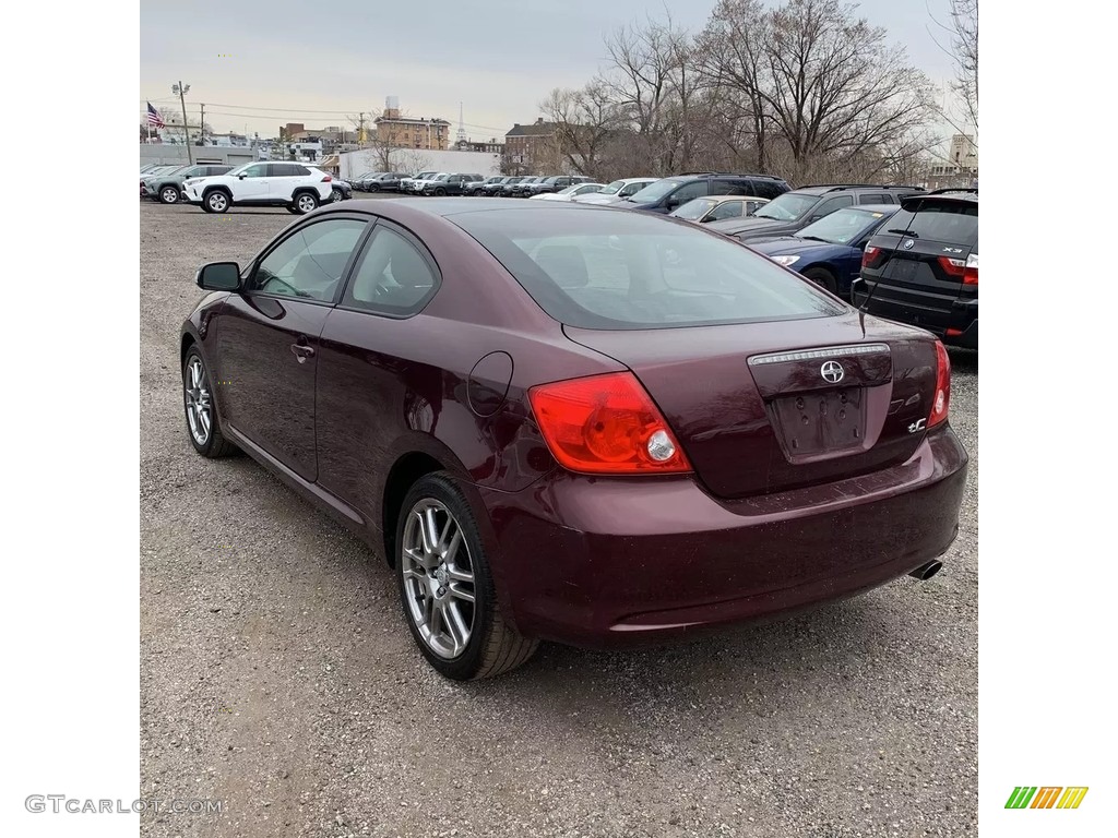 2006 tC  - Black Cherry Pearl / Dark Charcoal photo #3