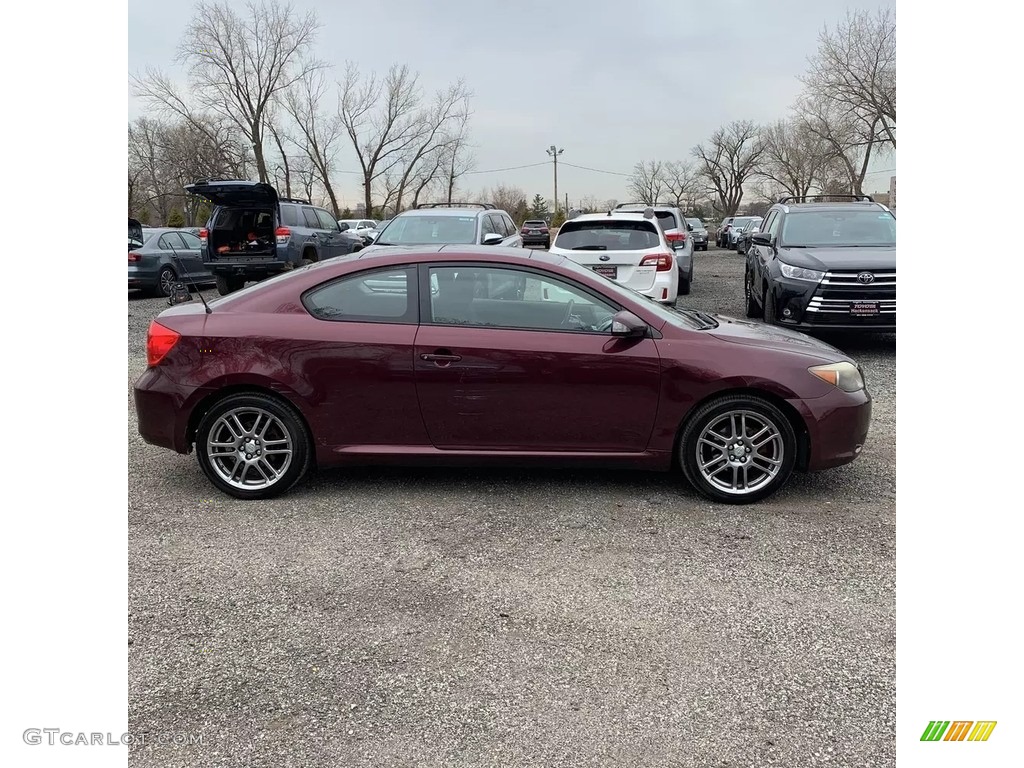 2006 tC  - Black Cherry Pearl / Dark Charcoal photo #6