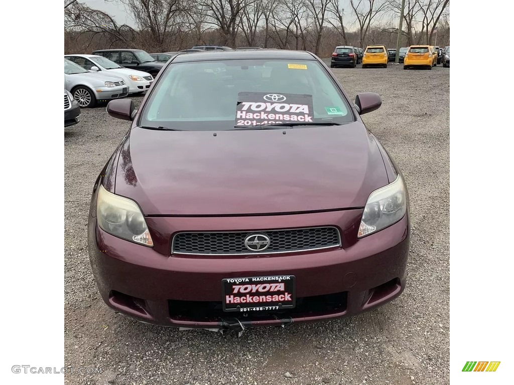 2006 tC  - Black Cherry Pearl / Dark Charcoal photo #8
