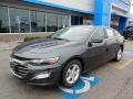 2019 Shadow Gray Metallic Chevrolet Malibu LS  photo #1