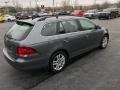 Platinum Gray Metallic - Jetta TDI SportWagen Photo No. 6