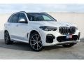 Alpine White - X5 xDrive50i Photo No. 12
