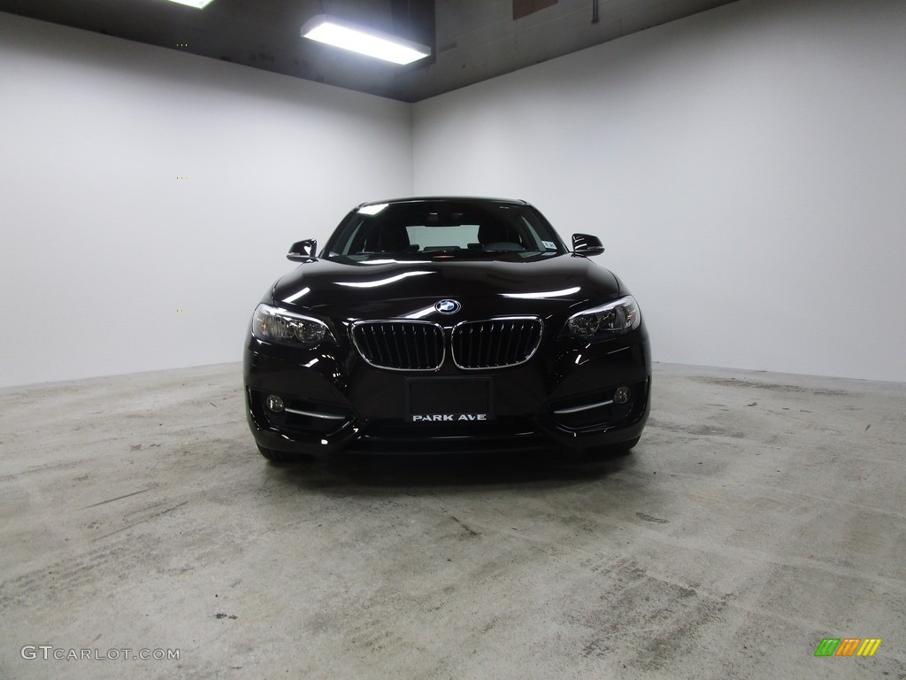 2016 2 Series 228i xDrive Coupe - Sparkling Brown Metallic / Black photo #20