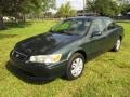 Woodland Pearl - Camry LE Photo No. 13