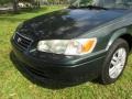 Woodland Pearl - Camry LE Photo No. 41