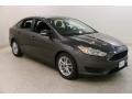 Magnetic - Focus SE Sedan Photo No. 1