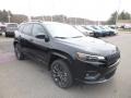 2019 Diamond Black Crystal Pearl Jeep Cherokee Limited 4x4  photo #8