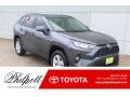 Magnetic Gray Metallic - RAV4 XLE Photo No. 1