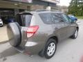 Pyrite Metallic - RAV4 I4 4WD Photo No. 2