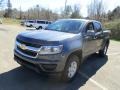 2019 Shadow Gray Metallic Chevrolet Colorado WT Crew Cab 4x4  photo #7