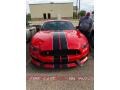 Race Red - Mustang Shelby GT350 Photo No. 6