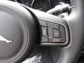 2019 Jaguar XF Light Oyster Interior Steering Wheel Photo