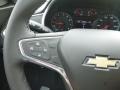 Shadow Gray Metallic - Malibu RS Photo No. 20