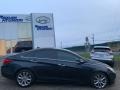 Pacific Blue Pearl - Sonata Limited 2.0T Photo No. 3
