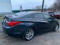 Pacific Blue Pearl - Sonata Limited 2.0T Photo No. 4