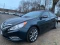 Pacific Blue Pearl - Sonata Limited 2.0T Photo No. 8