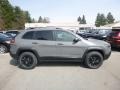 Sting-Gray 2019 Jeep Cherokee Trailhawk 4x4 Exterior
