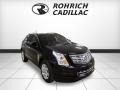 Black Raven - SRX Luxury AWD Photo No. 7