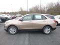2019 Sandy Ridge Metallic Chevrolet Equinox LS  photo #2
