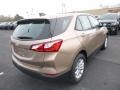 2019 Sandy Ridge Metallic Chevrolet Equinox LS  photo #5