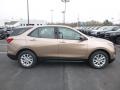 2019 Sandy Ridge Metallic Chevrolet Equinox LS  photo #6