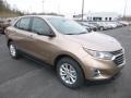 2019 Sandy Ridge Metallic Chevrolet Equinox LS  photo #7