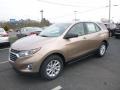 2019 Sandy Ridge Metallic Chevrolet Equinox LS  photo #1