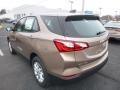 2019 Sandy Ridge Metallic Chevrolet Equinox LS  photo #3