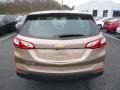 2019 Sandy Ridge Metallic Chevrolet Equinox LS  photo #4