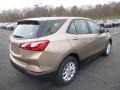 2019 Sandy Ridge Metallic Chevrolet Equinox LS  photo #5