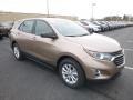 2019 Sandy Ridge Metallic Chevrolet Equinox LS  photo #7