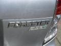 Ice Silver Metallic - Forester 2.5 X Premium Photo No. 10
